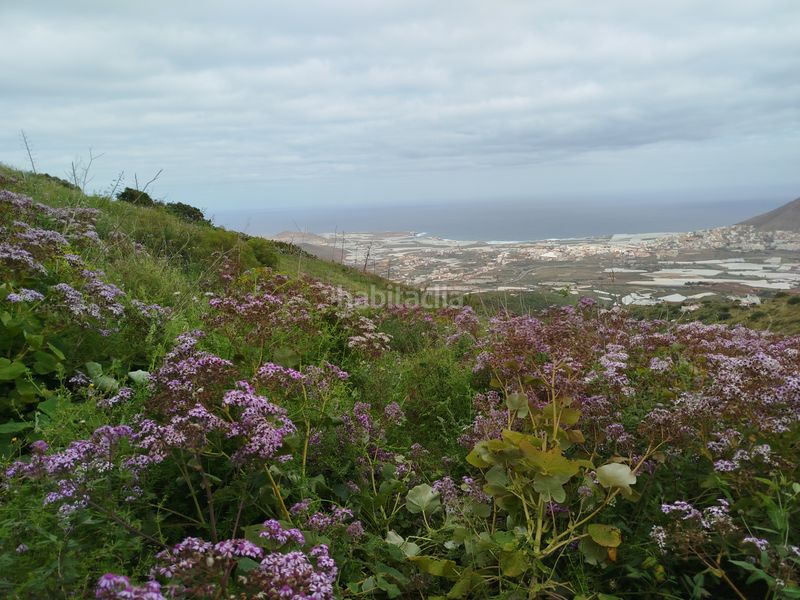 Foto 1a6a9937-cc2a-4b5f-80f6-1b0bc75d6601. Finca rústica a calle melian 6 a Los Quintana - Piso Firme Gáldar