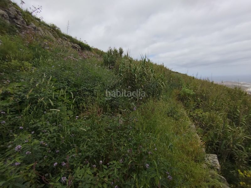 Foto ae0df8a5-e060-4ddb-832a-0f0d2536b049. Finca rústica a calle melian 6 a Los Quintana - Piso Firme Gáldar