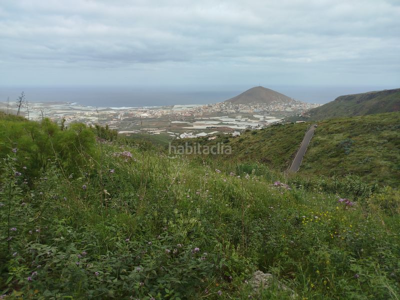 Foto b25ebd96-8510-4bd5-8bc6-c8b1f87ee407. Finca rústica a calle melian 6 a Los Quintana - Piso Firme Gáldar