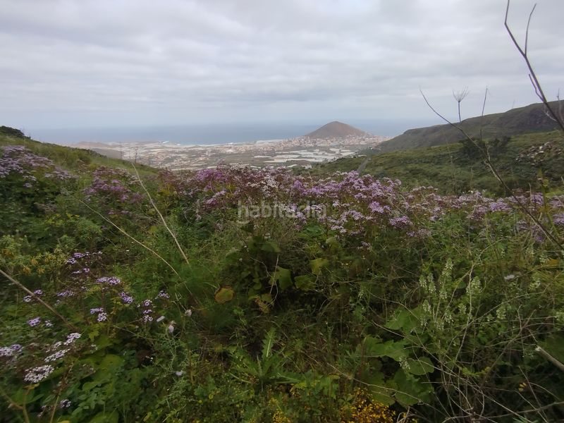 Foto b74859ff-5c93-4679-82ba-4e5d9c78ea79. Finca rústica a calle melian 6 a Los Quintana - Piso Firme Gáldar