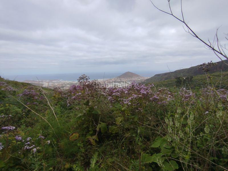 Foto bc4cbb51-cb6d-42cd-b69e-8f8d0ab18530. Finca rústica a calle melian 6 a Los Quintana - Piso Firme Gáldar