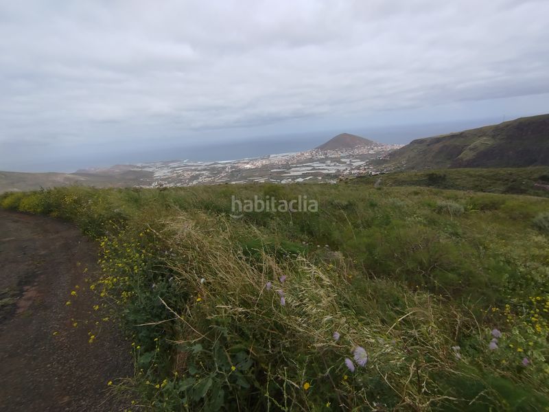 Foto bc665ba8-44b5-43fb-bd60-ed4872810916. Finca rústica a calle melian 6 a Los Quintana - Piso Firme Gáldar