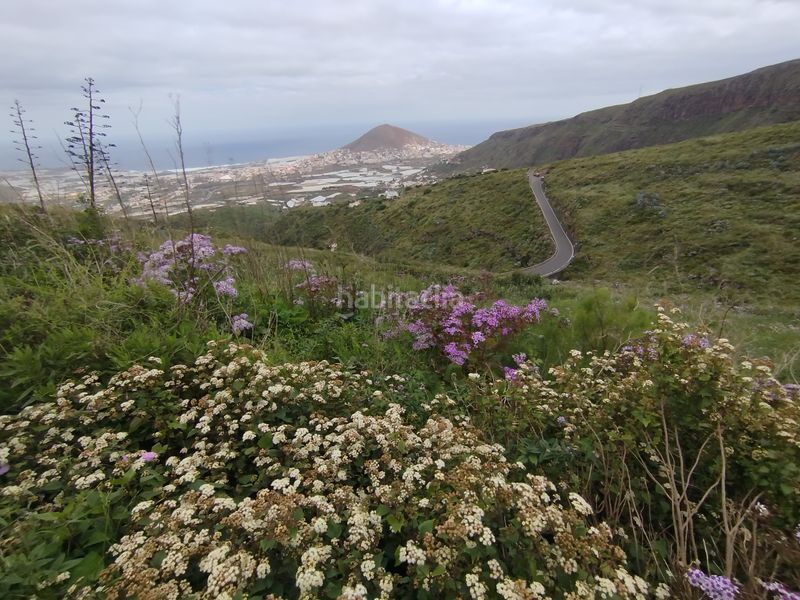 Foto cc74e4a4-7673-48e5-85e1-1aa246b1d998. Finca rústica a calle melian 6 a Los Quintana - Piso Firme Gáldar