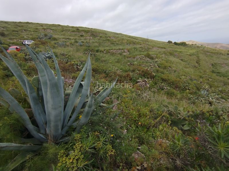 Foto e3e0b537-caf9-4e5a-8d9e-582fa0222852. Finca rústica a calle melian 6 a Los Quintana - Piso Firme Gáldar