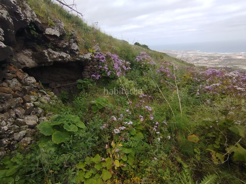 Foto fe7eb0d2-b9c5-442b-8083-b123803fd0ad. Finca rústica a calle melian 6 a Los Quintana - Piso Firme Gáldar