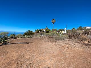 Finca rústica en Alcalá. Se vende terreno agricola intensivo