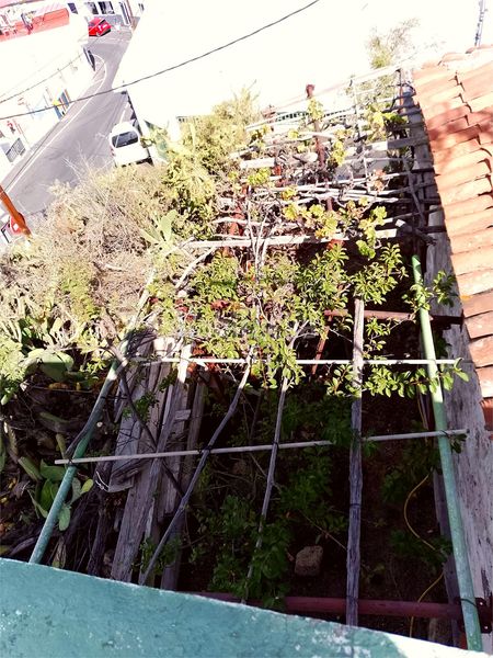 Foto 29ca0e30-713a-4367-be37-7699636dfb5b. Casa amb xemeneia aparcament a Guía de Isora interior Guía de Isora