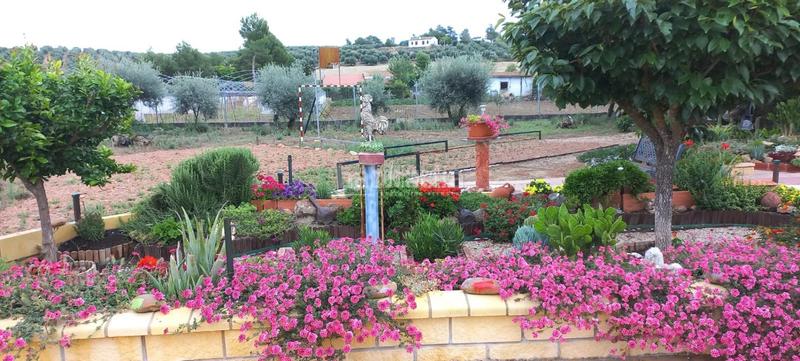 Foto 027770e4-4885-4b89-a8f5-72cad8c009c8. Casale con piscina in Pedro Abad