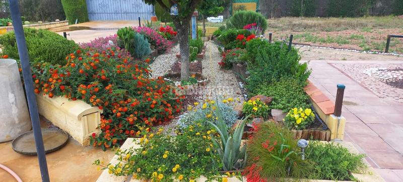 Foto 0f19686b-add9-4ac1-9310-5503c5fd5859. Casale con piscina in Pedro Abad