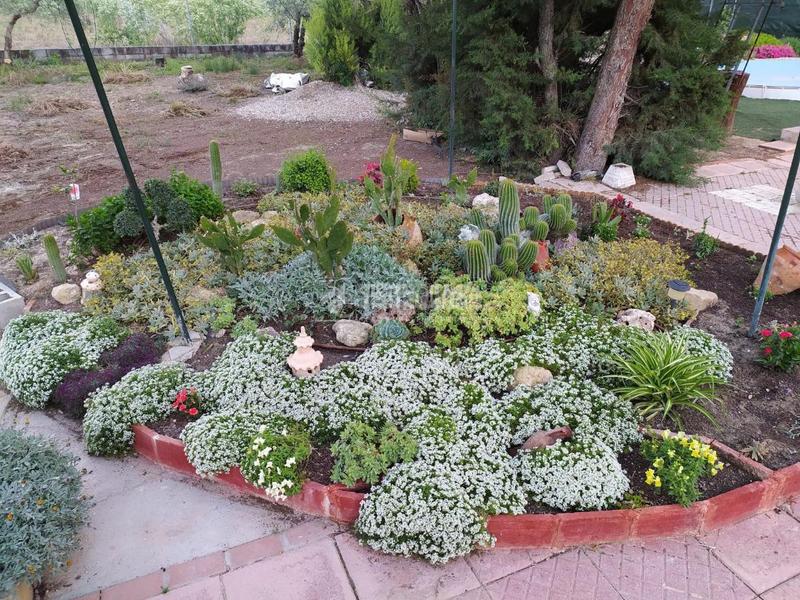 Foto 2970ee6a-6558-4718-aaf6-88e14fa54a12. Casale con piscina in Pedro Abad