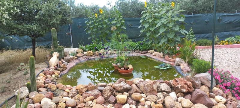 Foto aad95260-2090-401b-96ff-c2925d8442a8. Casale con piscina in Pedro Abad