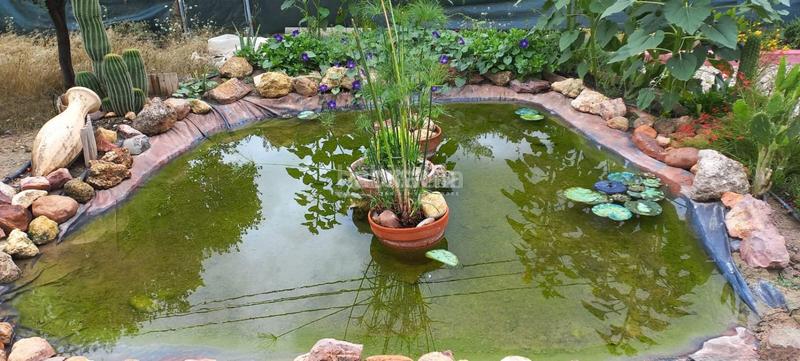 Foto b5c62d02-99c0-4eed-834b-629d27223690. Casale con piscina in Pedro Abad