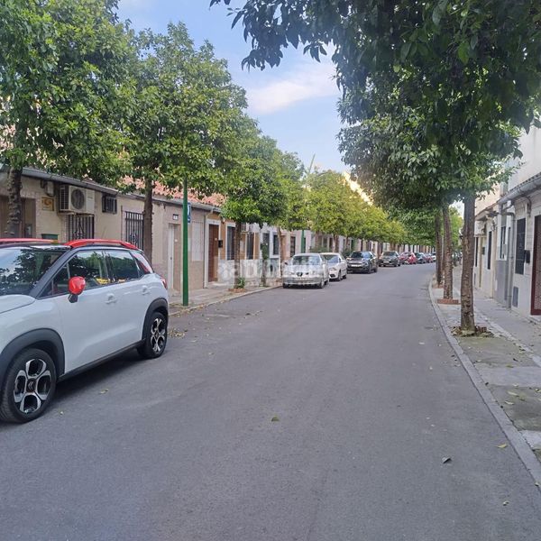 Foto c2cd7bd8-d694-4a7b-882f-3423945a33a1. Casa aparellada a Cañero Córdoba
