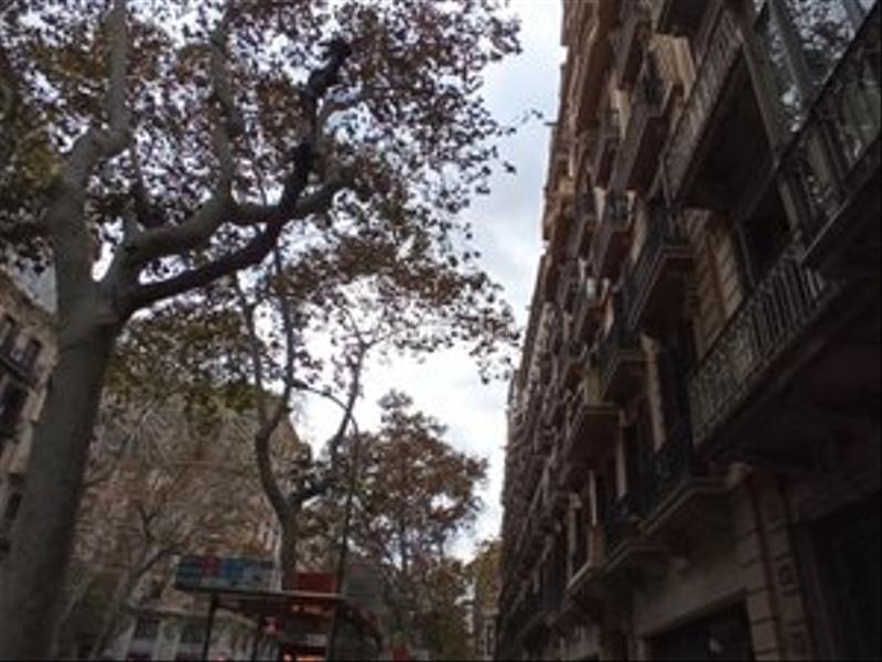 Foto 5b958196-8aae-47b2-89ae-d9a73419b094. Miete etagenwohnung mit heizung in Dreta de l´Eixample Barcelona