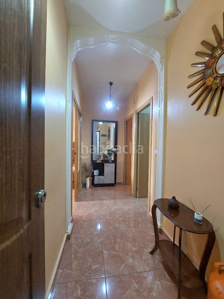 Foto 1f1ea07c-7d10-4b2e-8842-2cdac33e21a1. Pis a Don Benito