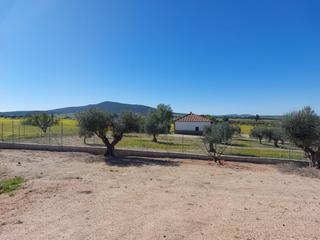 Finca rústica a Don Benito. Terreno en venta en las cruces