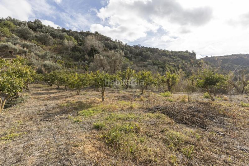 Foto 5169d370-aed5-417b-b02b-339b038db1ae. Masia a Serón