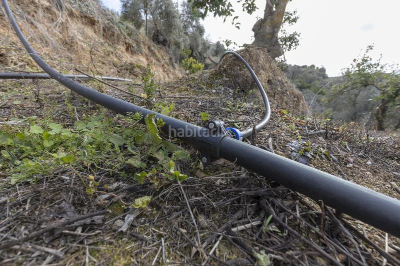 Foto a528b4ef-49be-4fa3-a059-c8b61f5a69d3. Masia a Serón