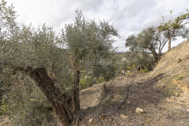 Foto aad4bfbf-d5bf-40ac-b89b-3944088540ac. Masia a Serón