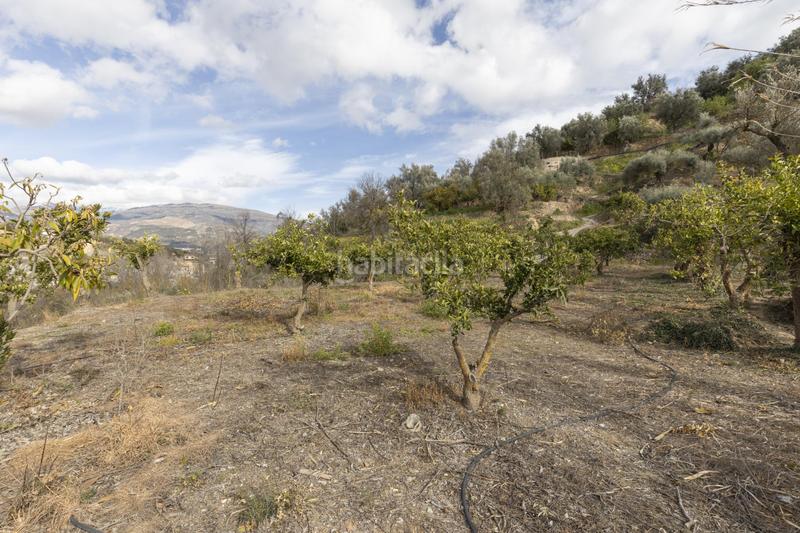 Foto ed18298d-33a3-404c-b2b2-5c586afd009c. Masia a Serón