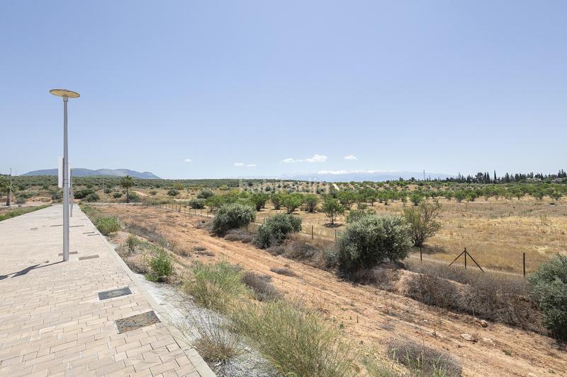 Foto 33f8d756-3f32-4b2f-bade-dc6fac52d1e8. Residential plot in Albolote