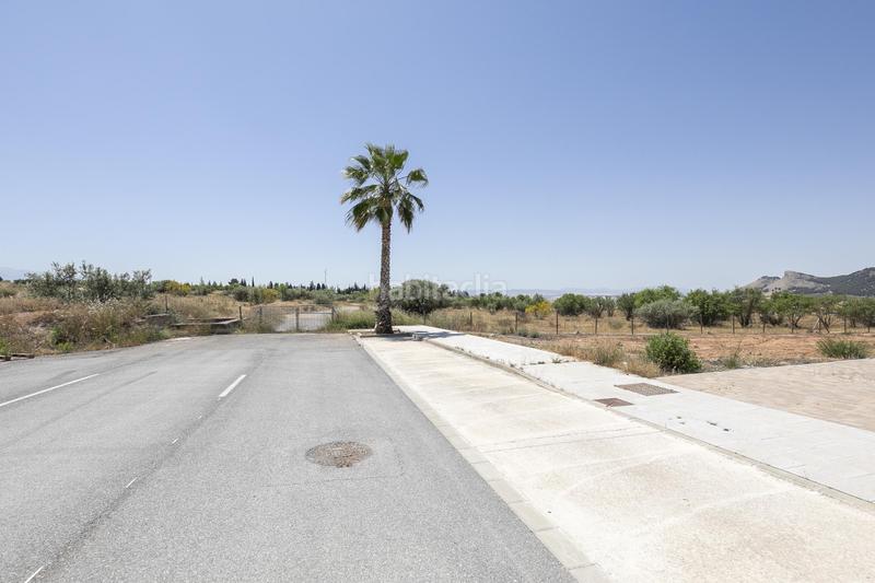 Foto b486e7f0-3768-4d9c-9099-f03352f36c80. Residential plot in Albolote
