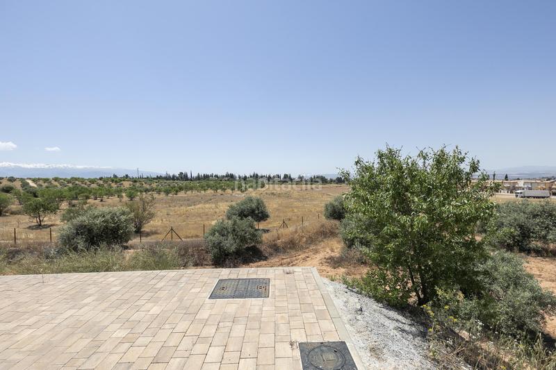 Foto cc76af9e-d7e4-48b8-988f-f1e242b1c512. Residential plot in Albolote