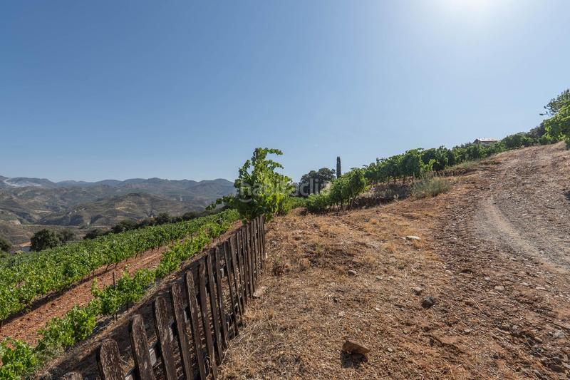 Foto a689af94-7a88-492e-a6d7-497e8e31b831. Finca rústica a Dúdar