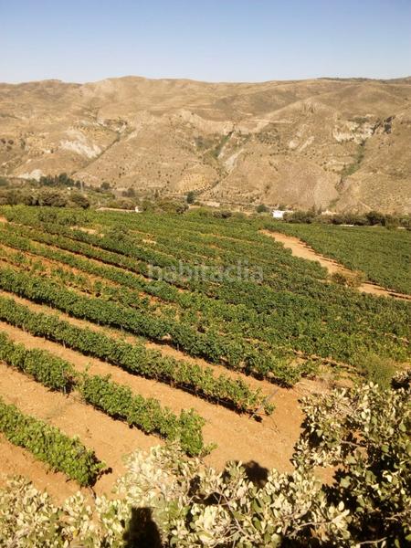 Foto b73f203d-ab06-427d-b9f6-0ec3339f4d78. Finca rústica a Dúdar
