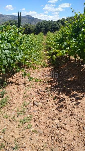 Foto b92ac85d-1864-421e-87ad-dd852fcfa199. Finca rústica a Dúdar
