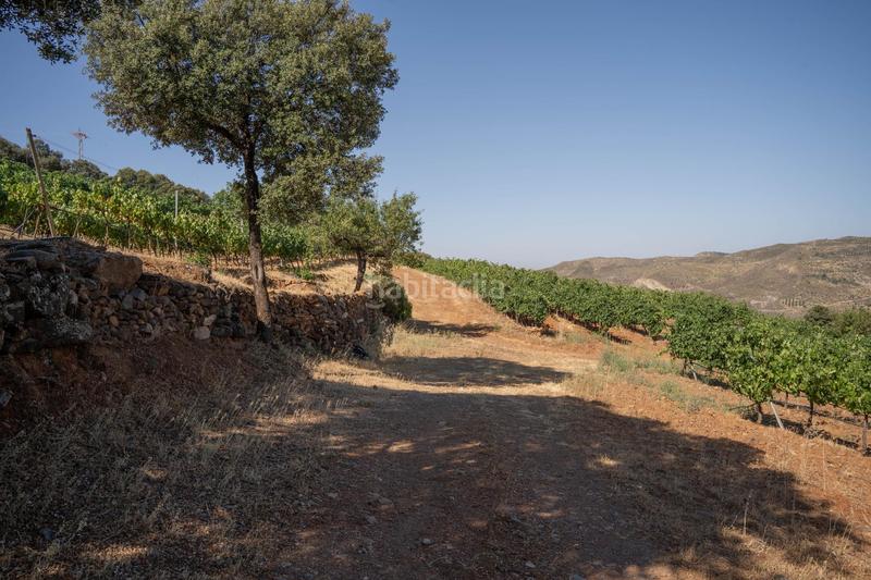 Foto c3a13959-3902-4207-a9d6-a45c4838d9ac. Finca rústica a Dúdar