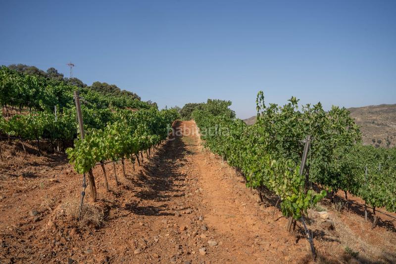 Foto ca52ac90-3c85-418d-963b-ff2edf85b933. Finca rústica a Dúdar