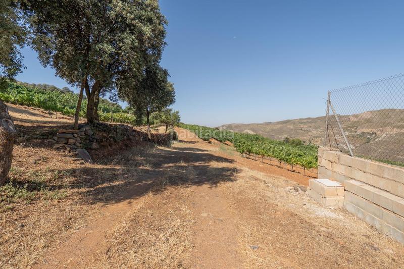 Foto f718922e-9e58-4b87-a3f9-3da96fabbab9. Finca rústica a Dúdar