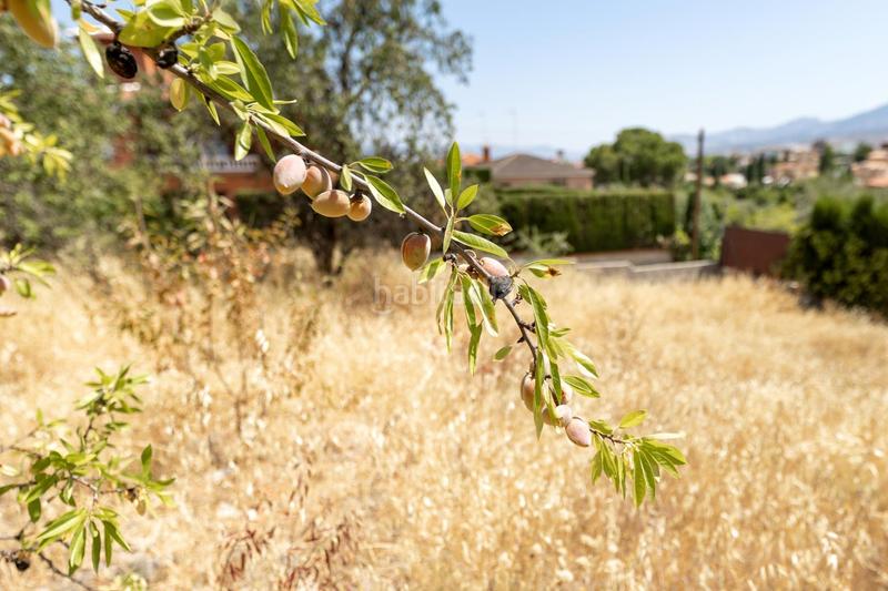 Foto 1ba0f180-5185-40c1-a827-dcadea4b9ccf. Residential plot in Villa de Otura