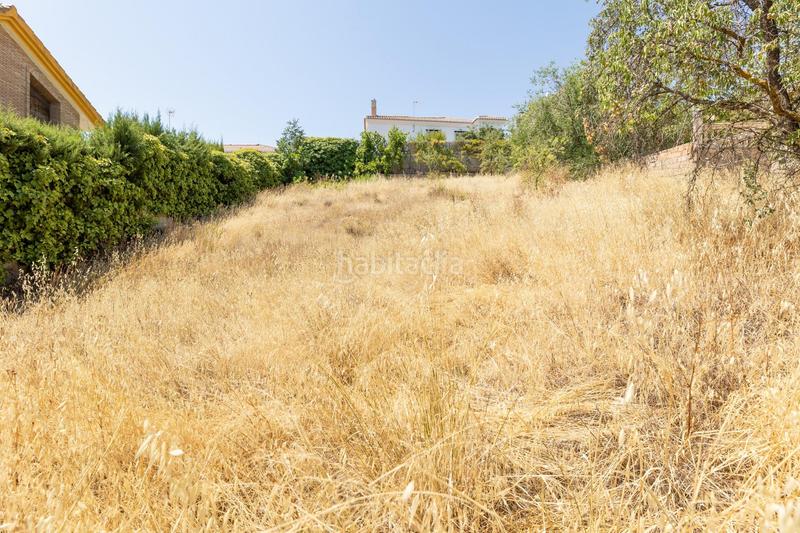 Foto 3e43524e-79f1-4df8-8e1d-0a2fe174f5e0. Residential plot in Villa de Otura