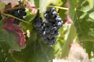 Local Comercial a Plaza del Polígono