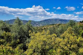 Masia  Calle higueruelas pol 13, parc 7. Venta de casa con terreno en lanjarón granada