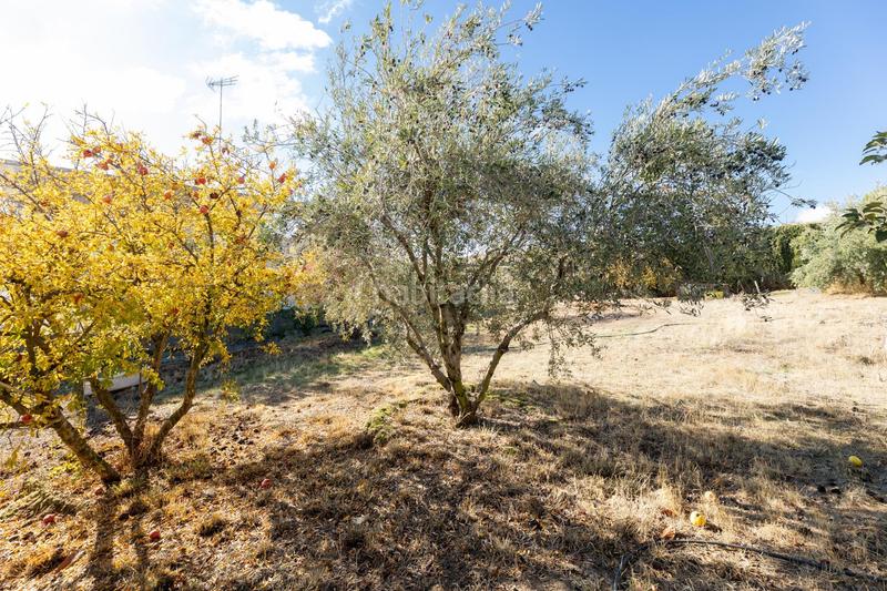 Foto cf35783a-e564-414d-a868-be373dbe89eb. Terrain résidentiel dans San Francisco - El Chorrillo Gabias (Las)