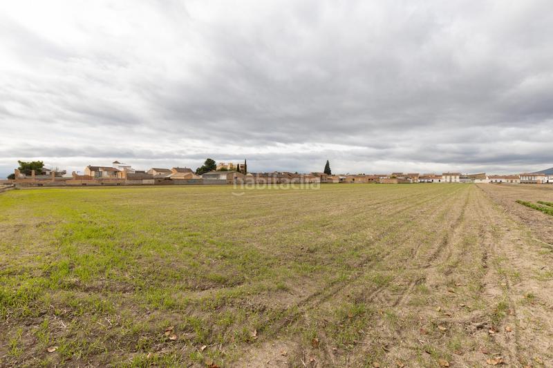 Foto 628efef6-893e-440d-b169-5d5c399c18f6. Residential plot in Valderrubio