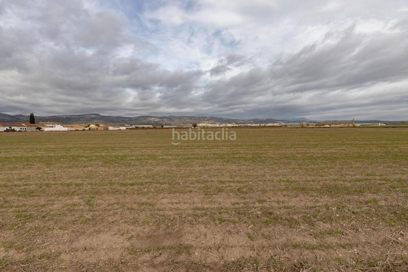 Foto 7534c515-5fed-43e8-9250-7504be98ecf0. Residential plot in Valderrubio