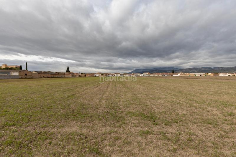 Foto 8078a68c-5121-4f12-ae93-e4f7c428c6c8. Residential plot in Valderrubio