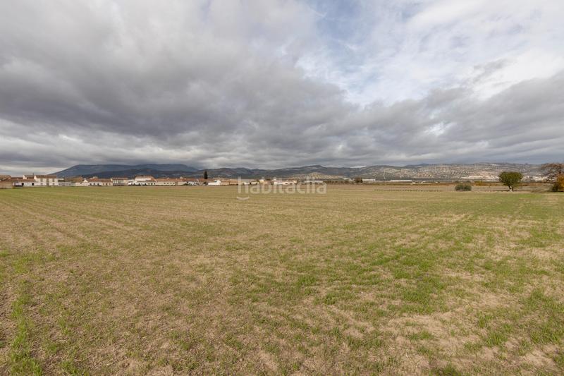 Foto f33bf9aa-91ea-4a3e-8415-0d7362e17212. Residential plot in Valderrubio