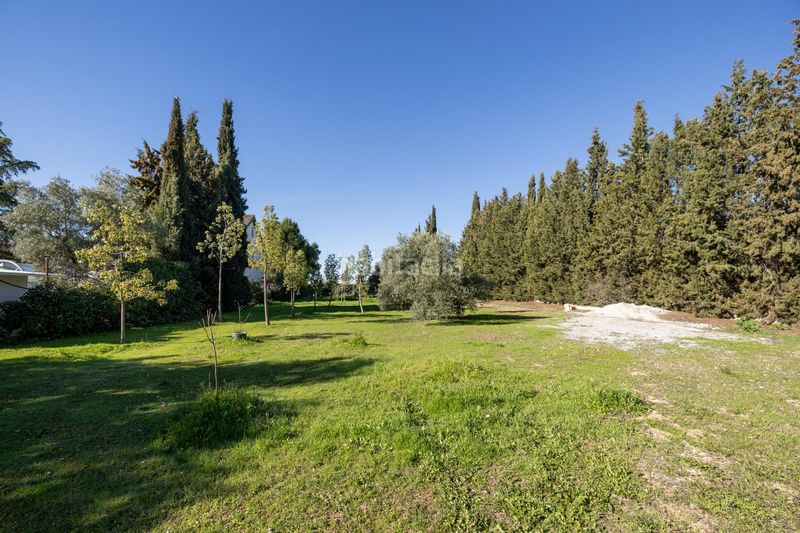 Foto b61f1ee8-059f-4d9c-884e-2fcb1c0f9507. Terreny residencial a Atarfe