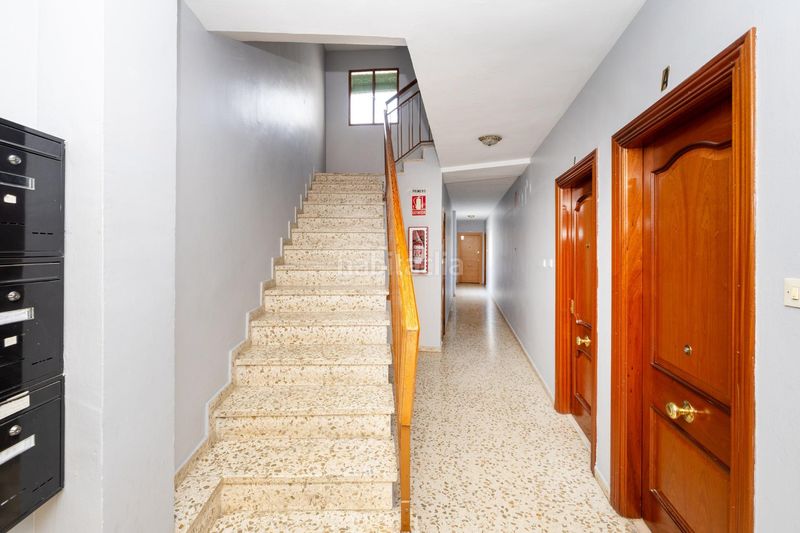 Foto e6b53b4e-6009-46cc-94d6-e894f12023f2. Pis a Atarfe