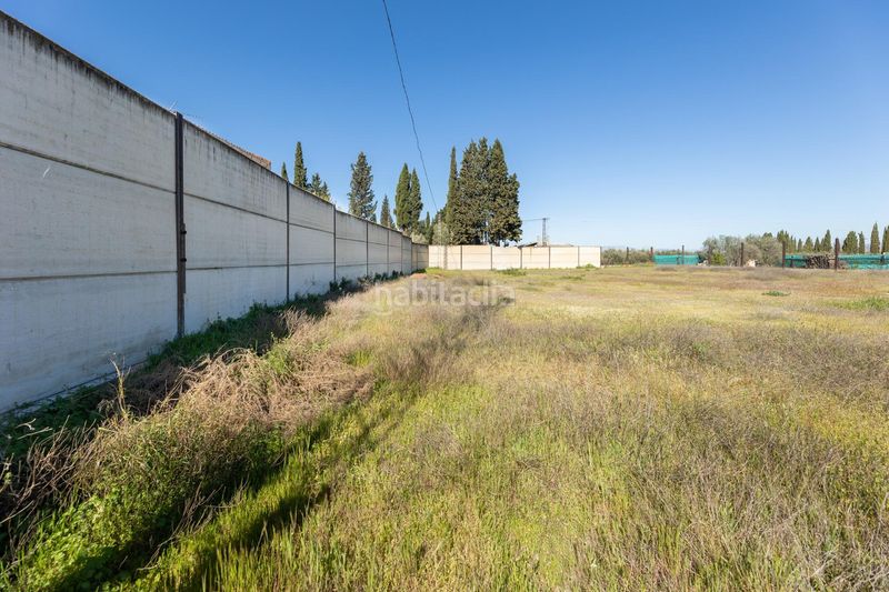 Foto b9f4e14f-8b27-40f6-bc5b-8cd9fa29e0c0. Masia a La Zubia Ciudad Zubia (La)