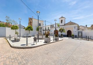 Casa a Pulianas. 2 fincas en una casa