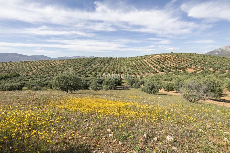 Foto 1cda06e3-0771-415a-b216-6b89728fe070. Finca rústica a Güevéjar