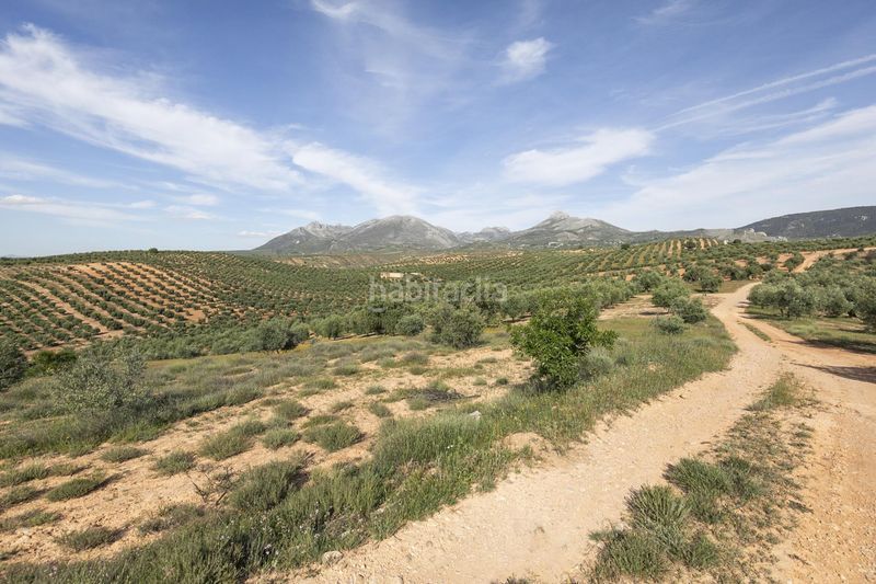Foto 4506cd39-9754-4e52-90d8-a2939228a297. Finca rústica a Güevéjar