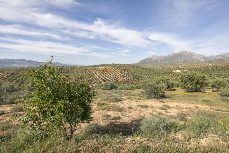 Foto d2d4dbc7-394c-47e0-b80f-f78c5413bf5f. Finca rústica a Güevéjar