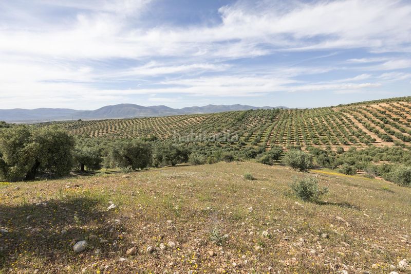 Foto e5bd20a1-0228-4534-b1fb-bb9aa9a0ad13. Finca rústica a Güevéjar
